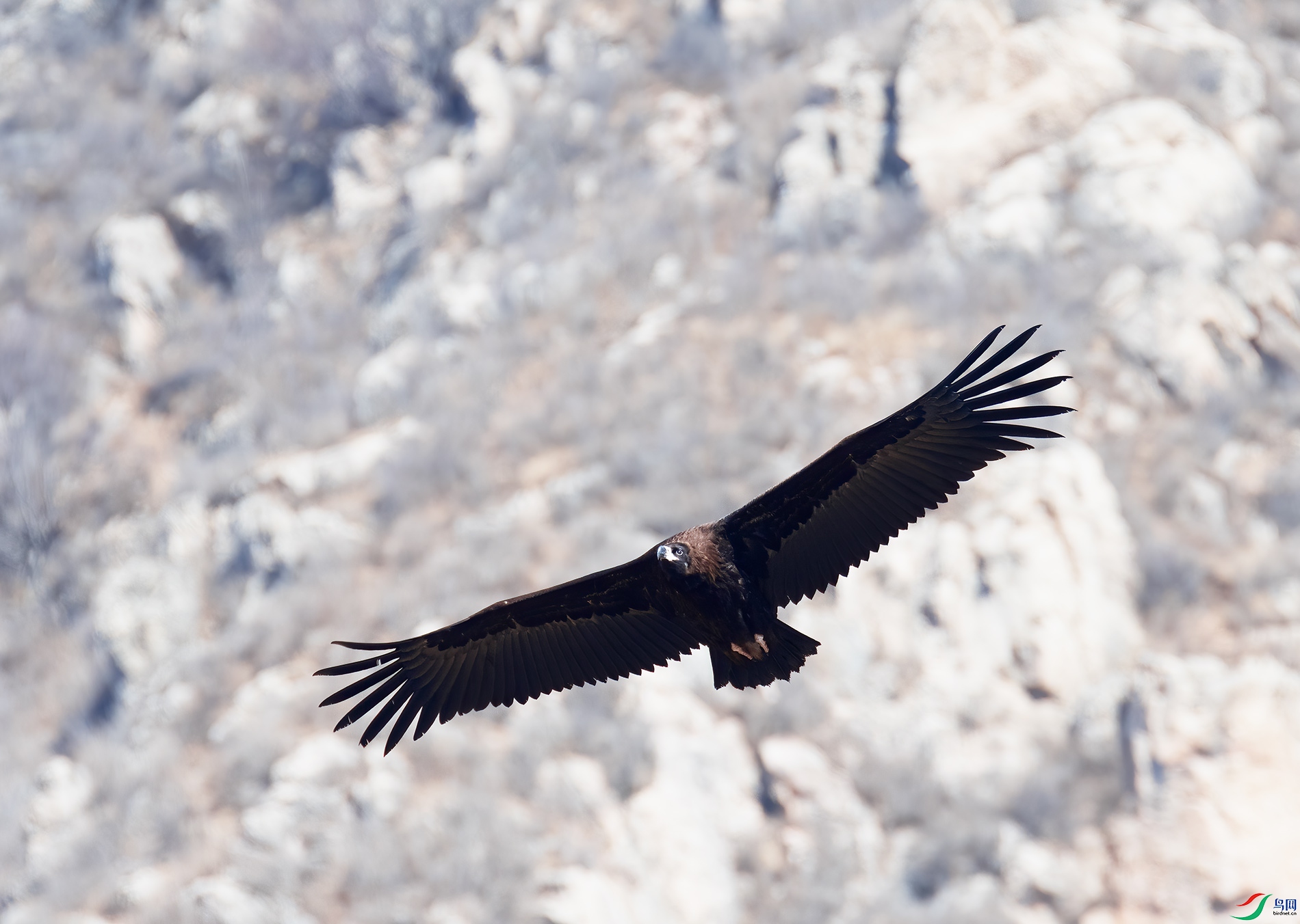 DSC_1578.jpg