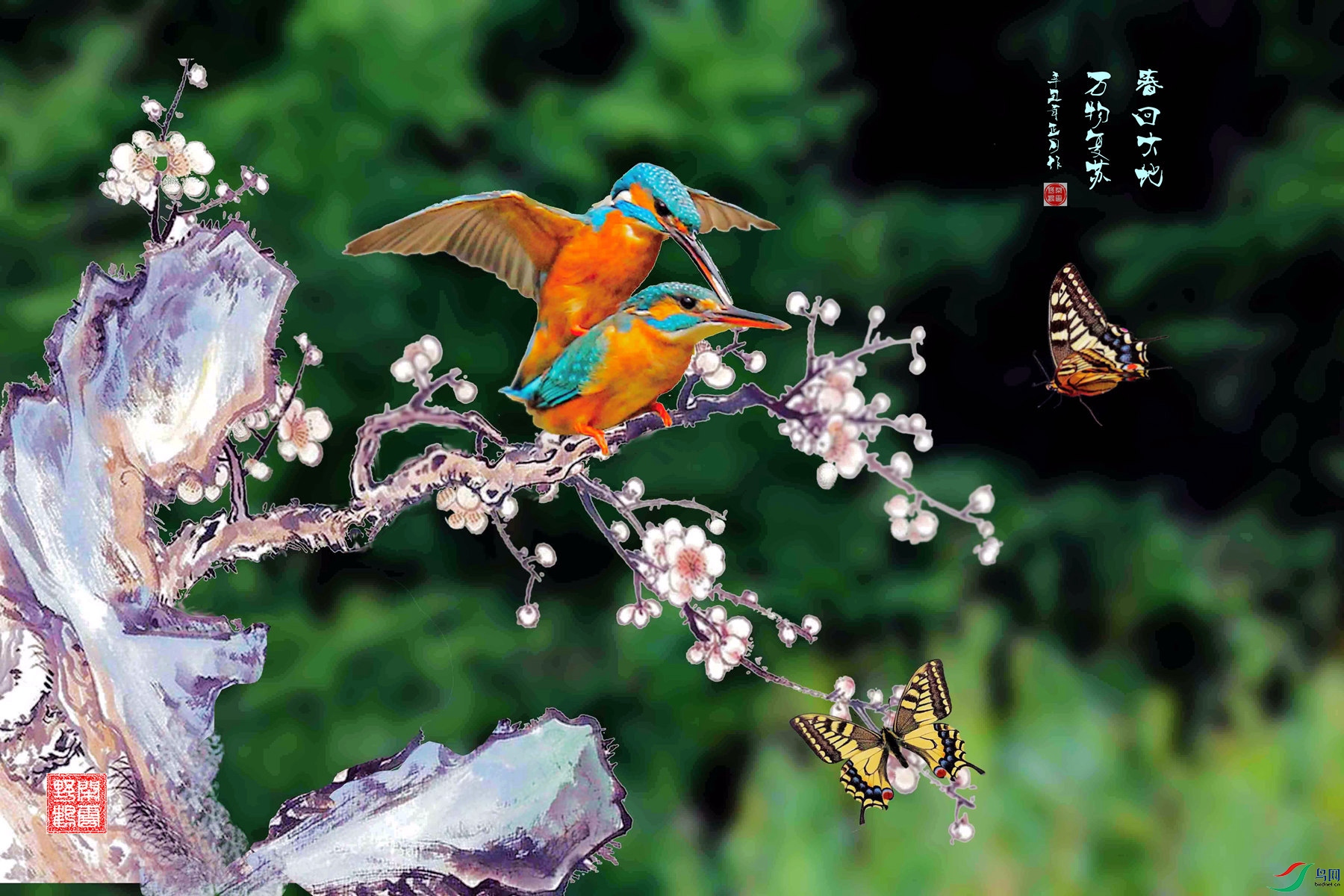 BE7W2234 - ����.jpg