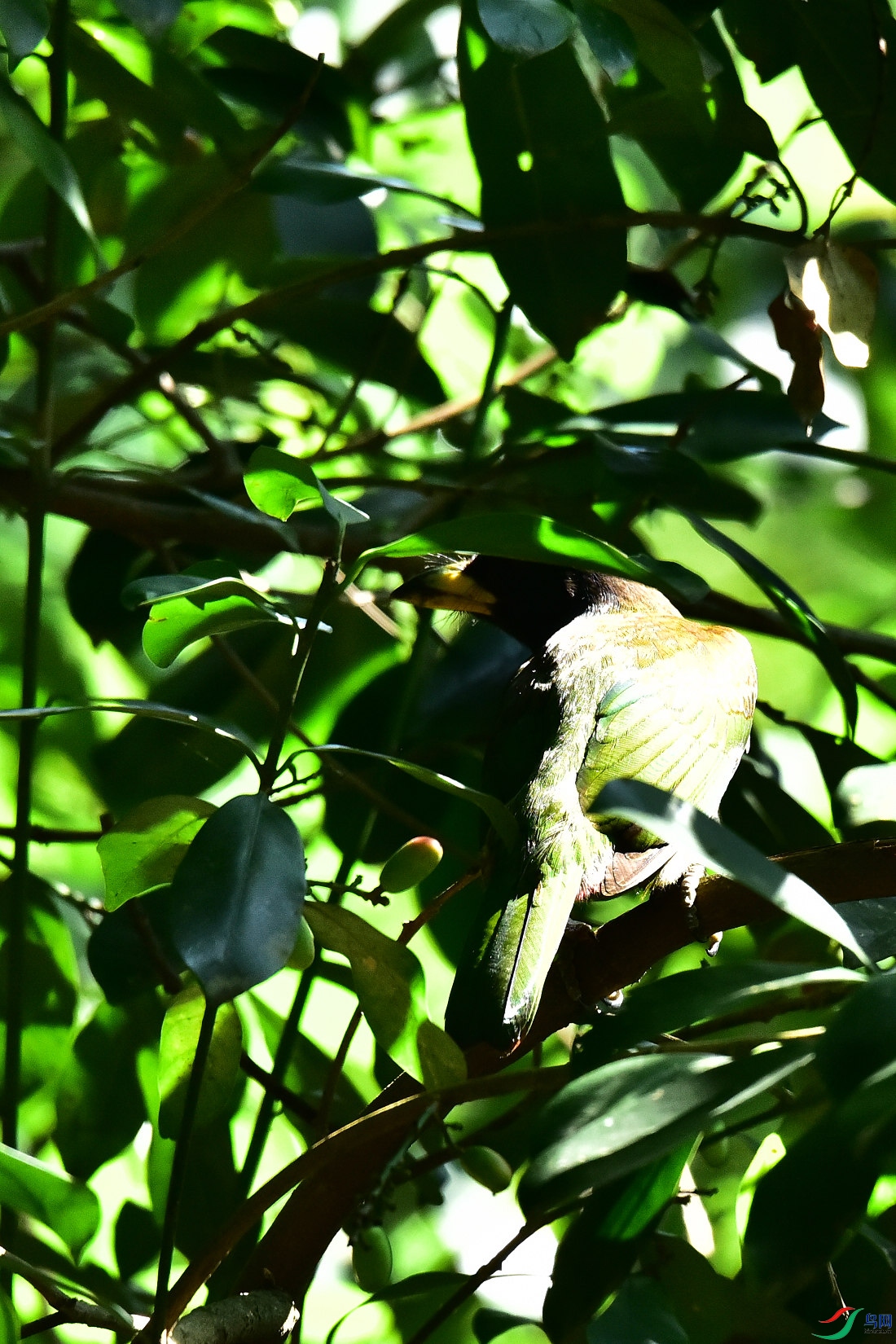 DSC_1043.JPG