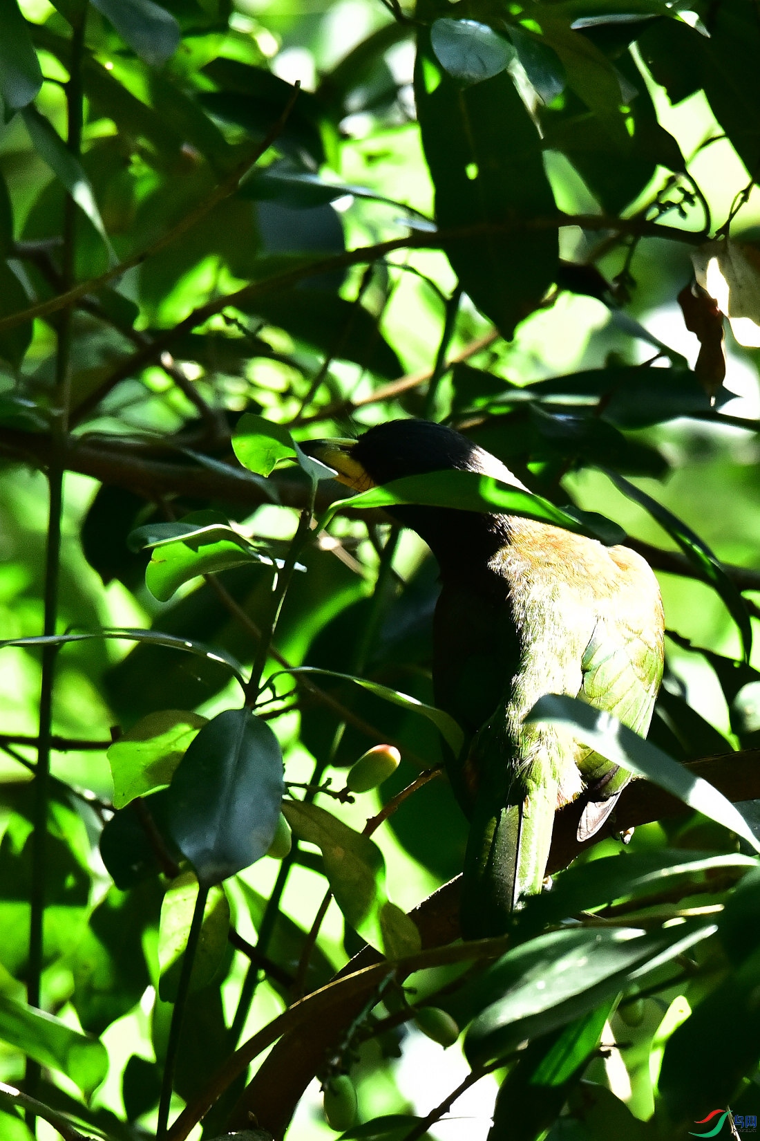 DSC_1044.JPG