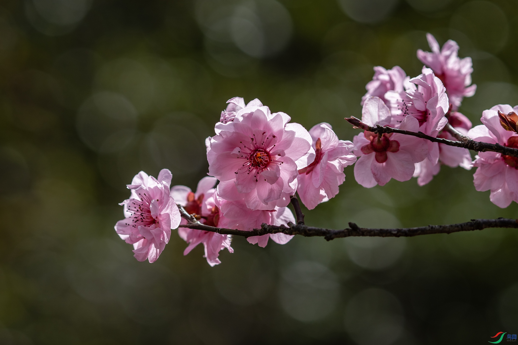 δ����-04597.jpg