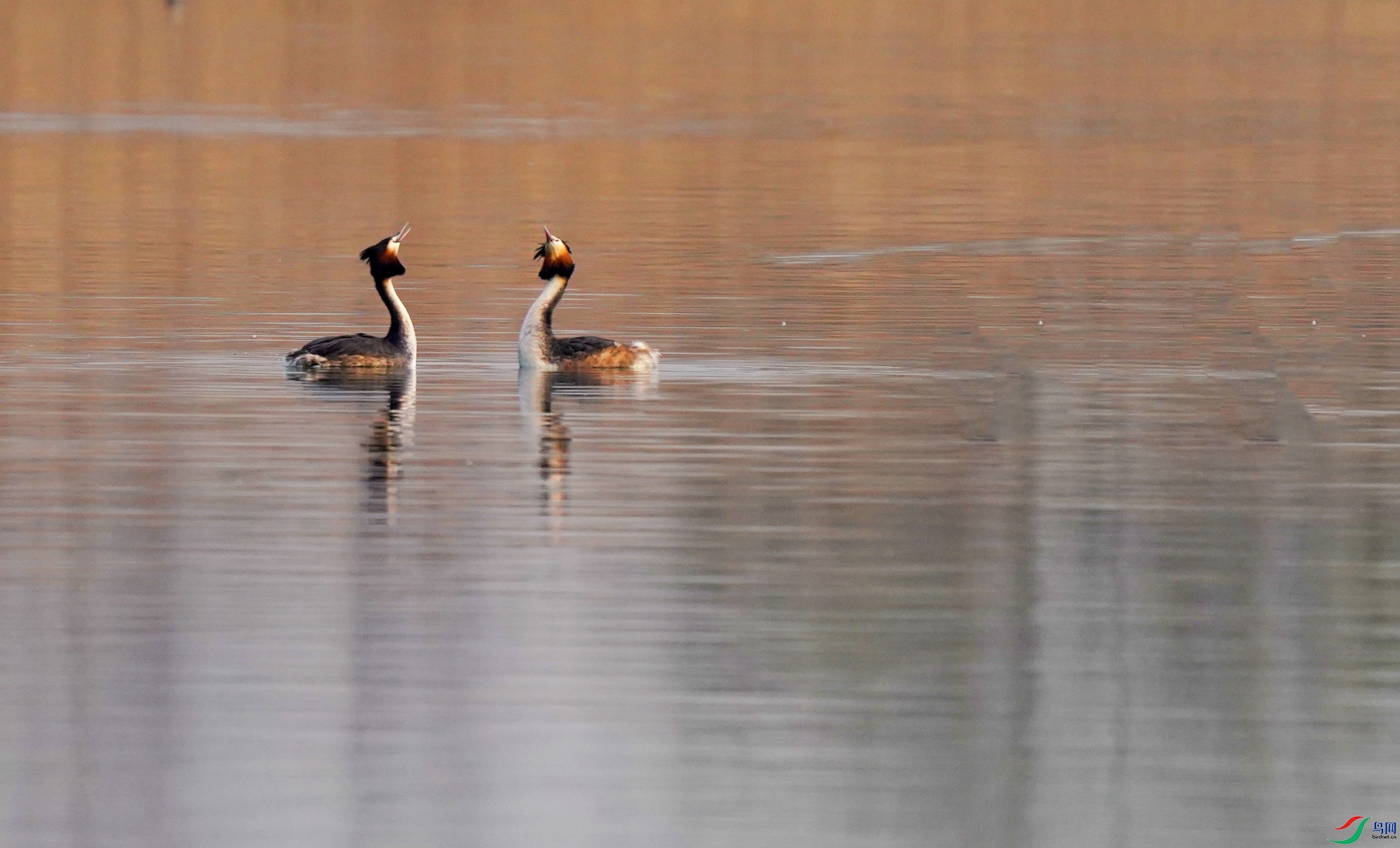 1 DSC05263_����.jpg