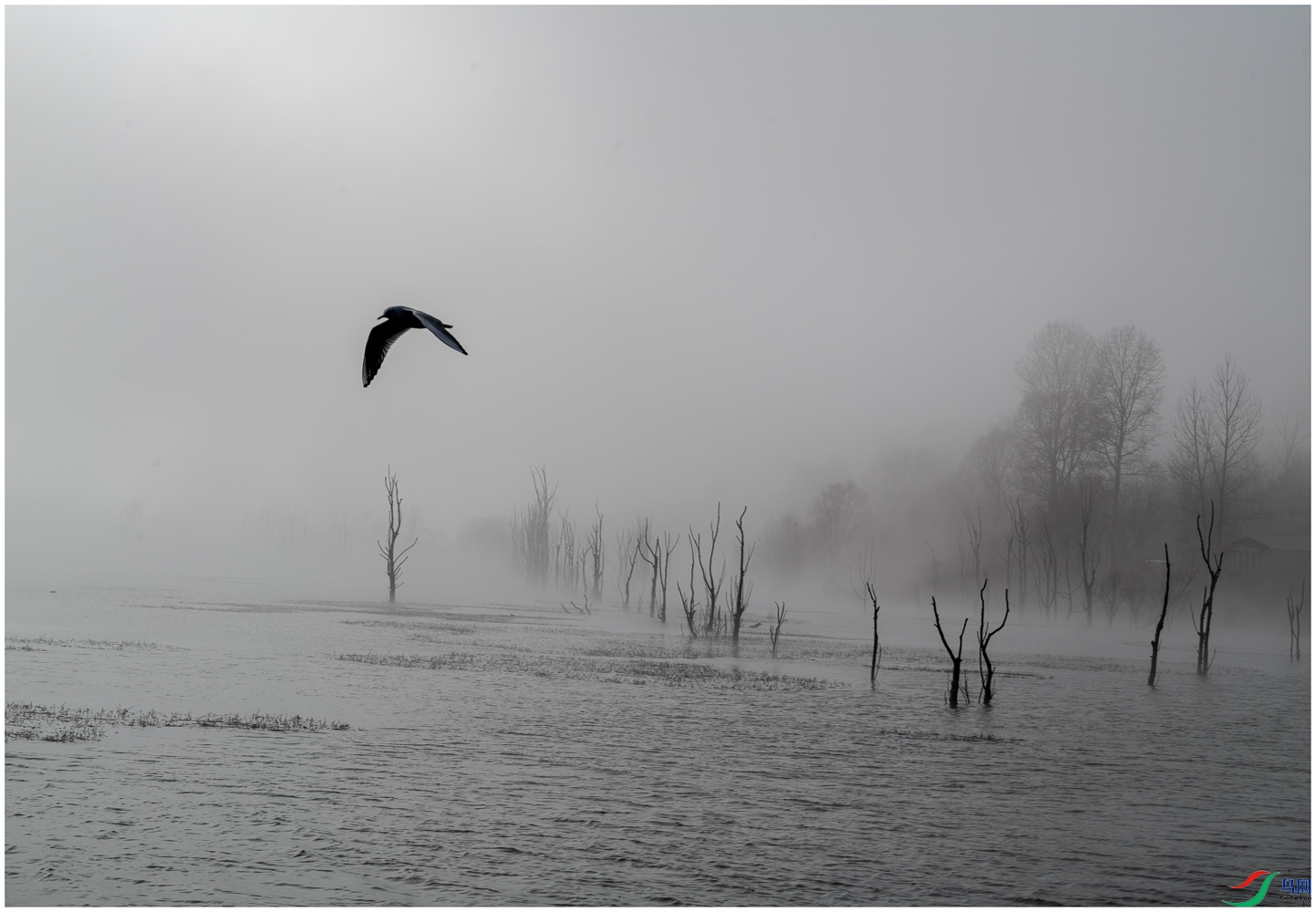 �������