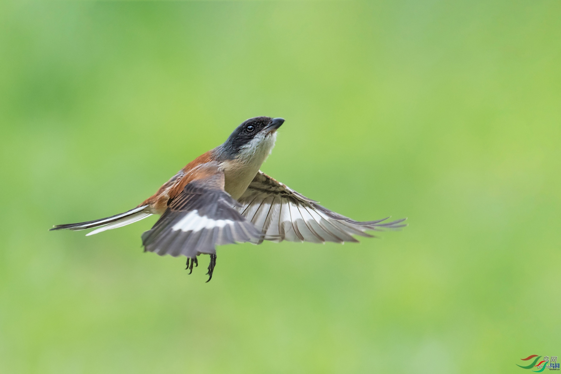 ����С��  ��ʦ�����ڹ���׳��������������������.jpg