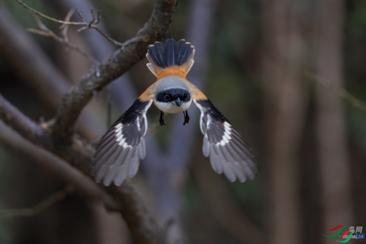 ��һ  ��ʦ�������Ϻ���բ����.jpg