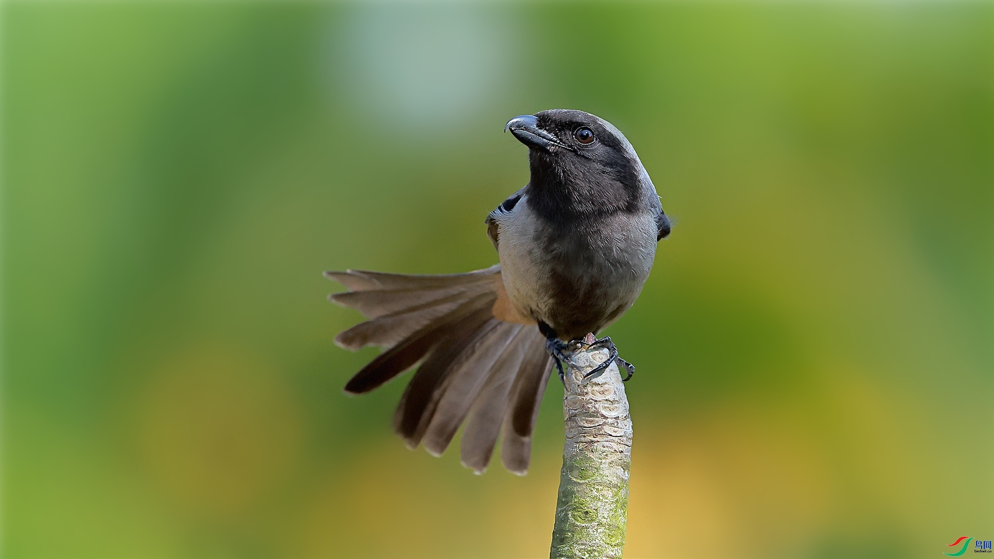 �½���ӥ  ��ʦ�����ں���ʡ������������.jpg