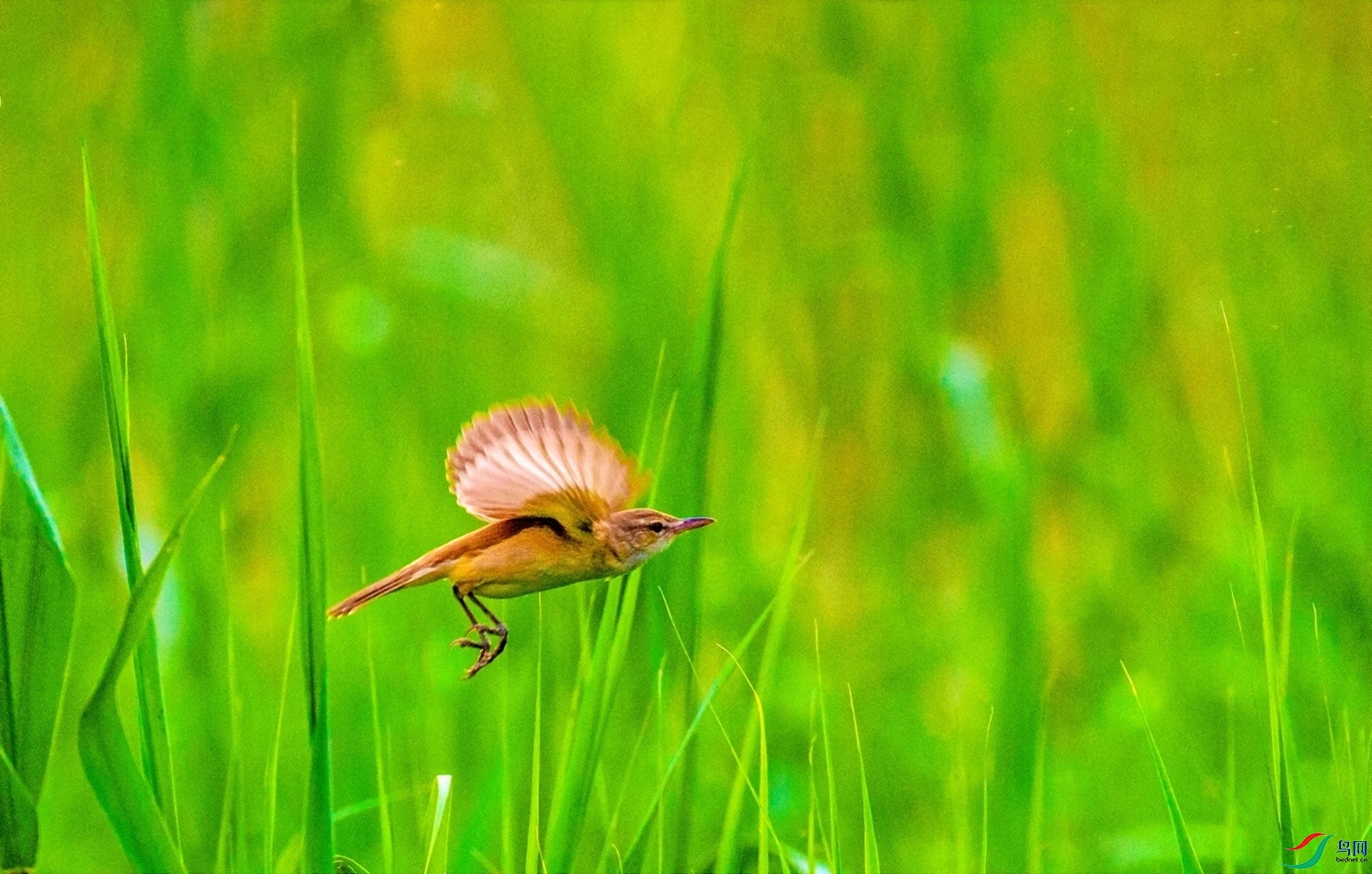 �����ʦ������������έݺ�� (2).jpg