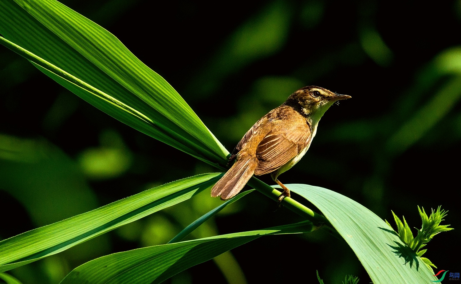 �����ʦ������������έݺ�� (4).jpg