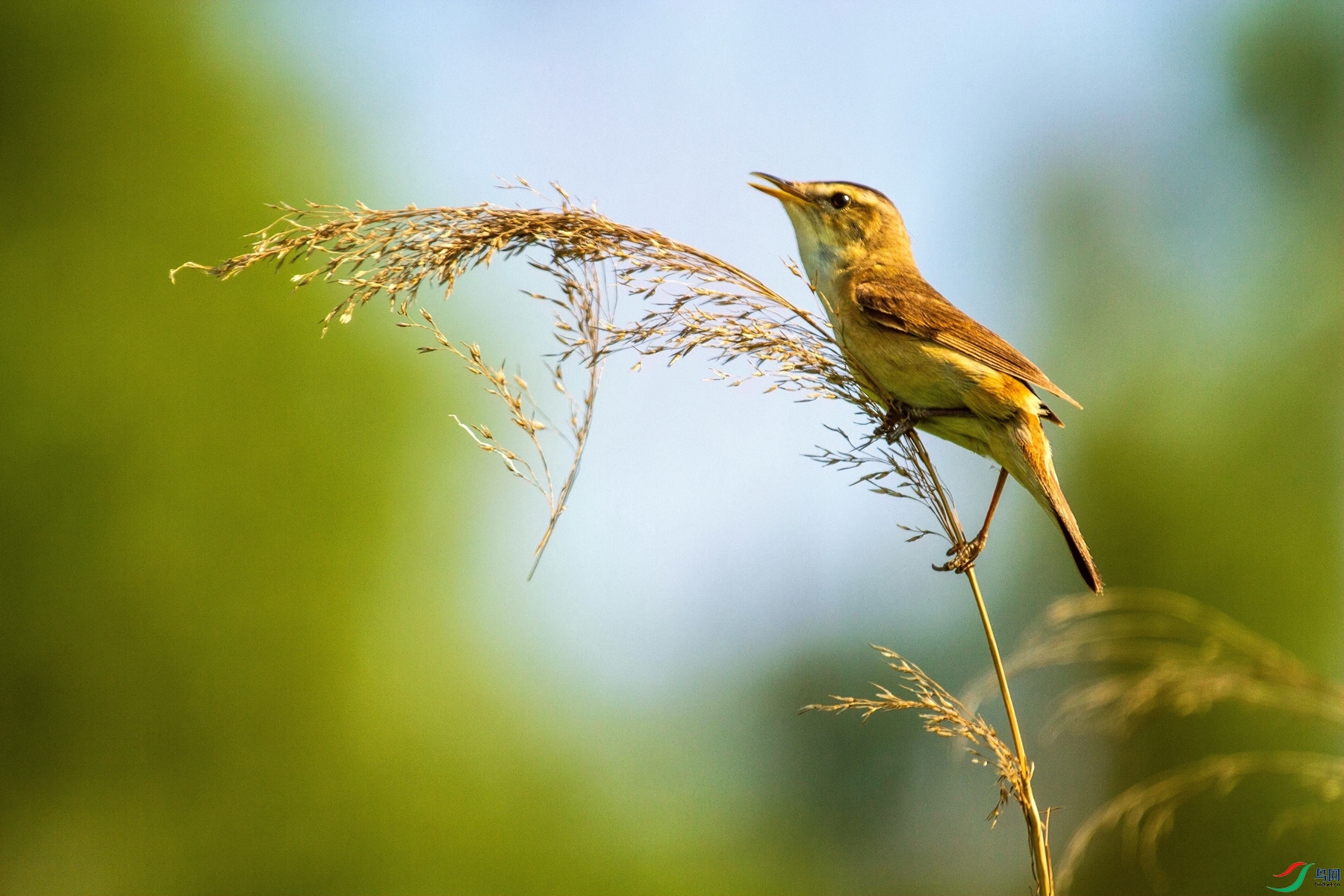 �����ʦ������������έݺ�� (3).jpg