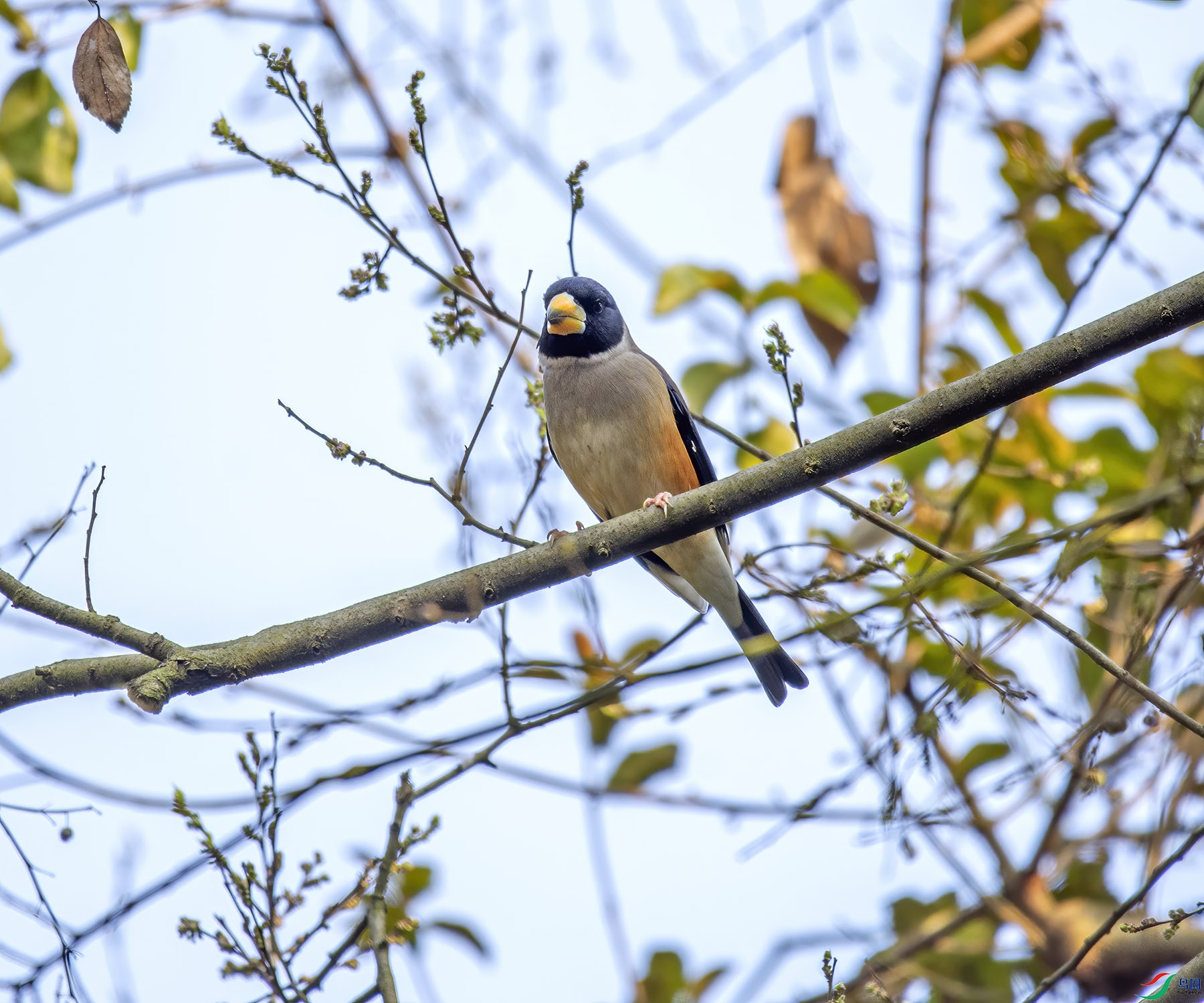DSC_6430.jpg