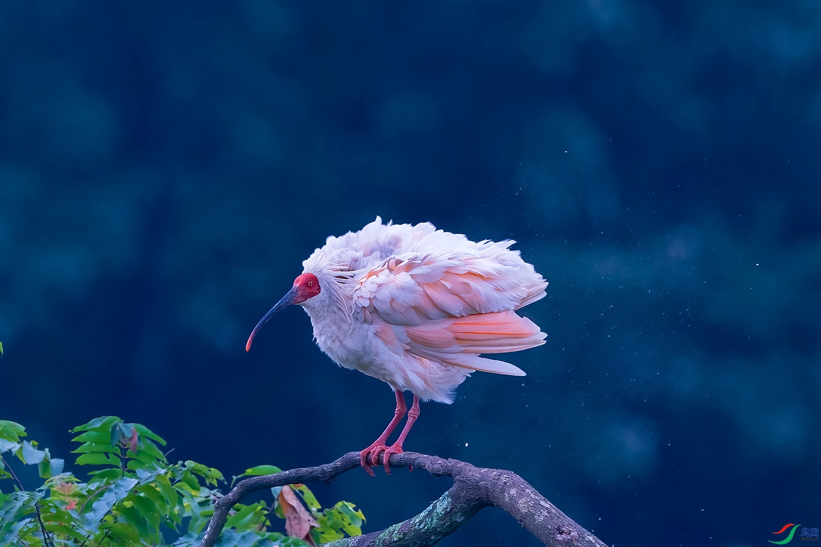 DSC_1444С.jpg