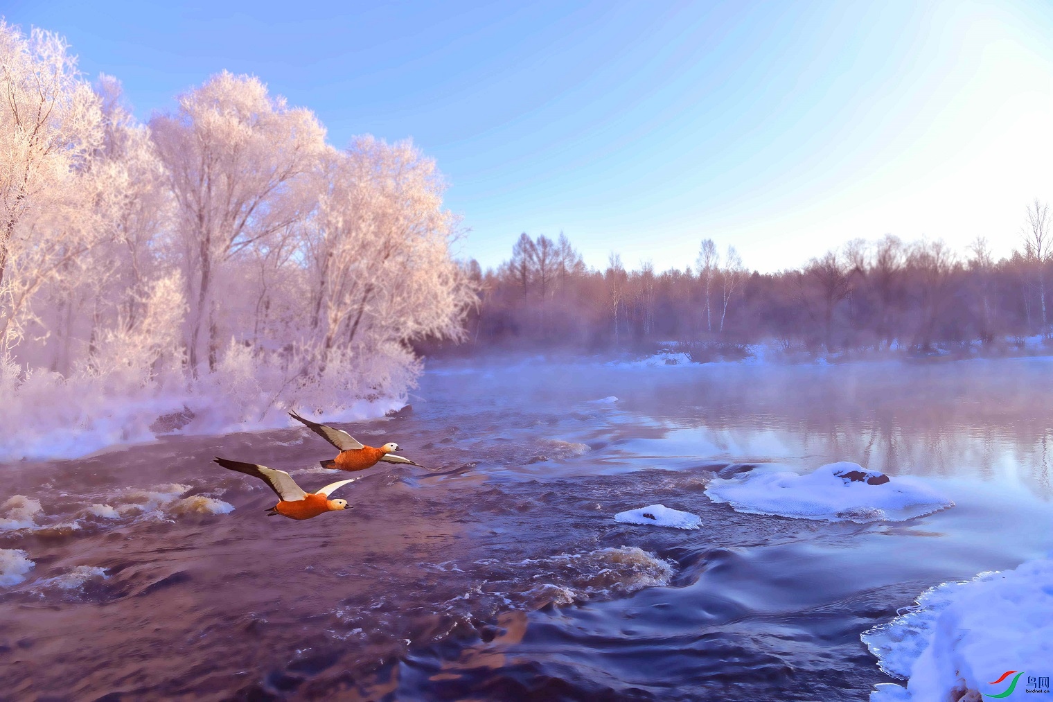2TZ_3493_wpsͼƬ_����.jpg