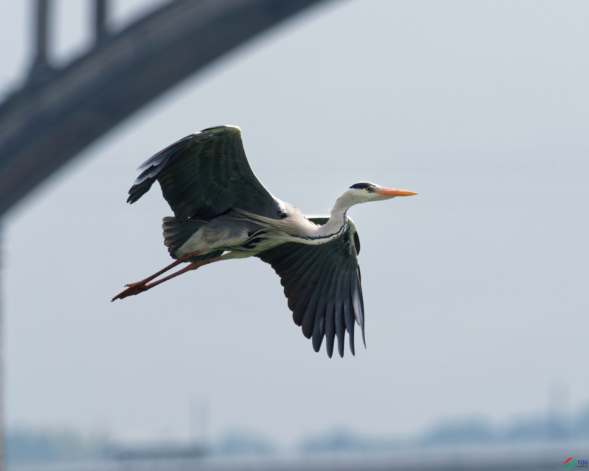 P3080113_DxO-sd2.jpg