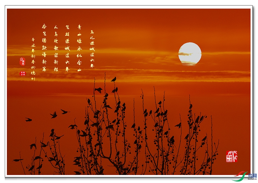 A84X8354-PS ���� ����.jpg