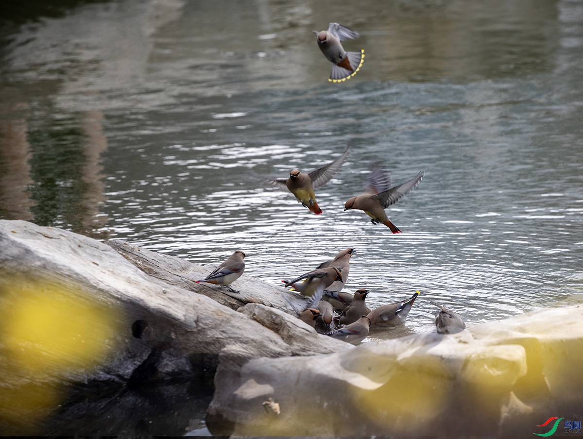 AV1I0528 ����.jpg