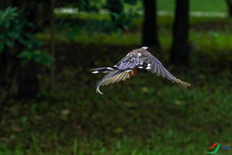 2017-07-01 094817(3).jpg