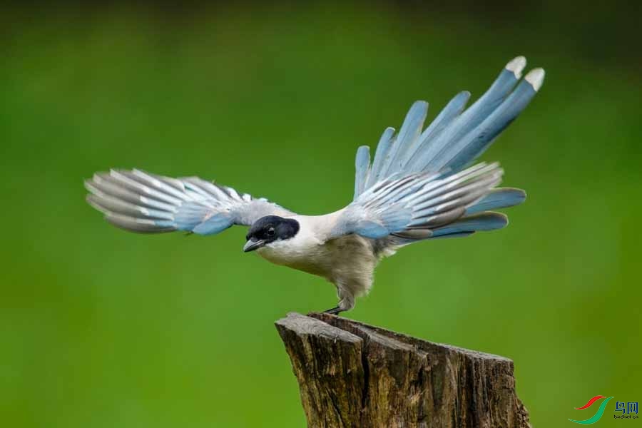 2017-02-05 180214(2).jpg