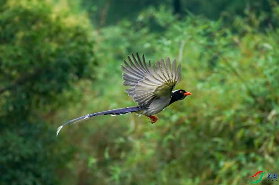 2017-07-01 094904(13).jpg