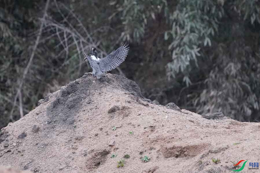 20180224-DSC01045-91 - ����.JPG