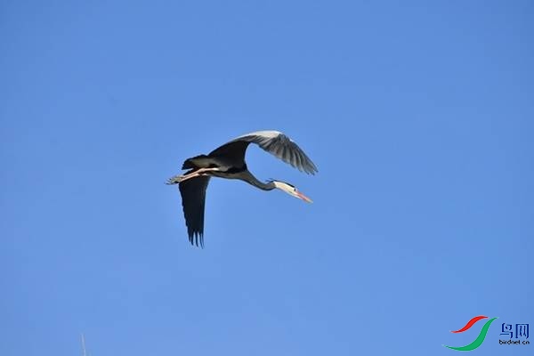 1 (91).JPG