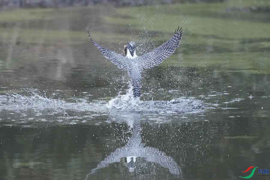 20180224-DSC00975-21 - ���� - ����.JPG