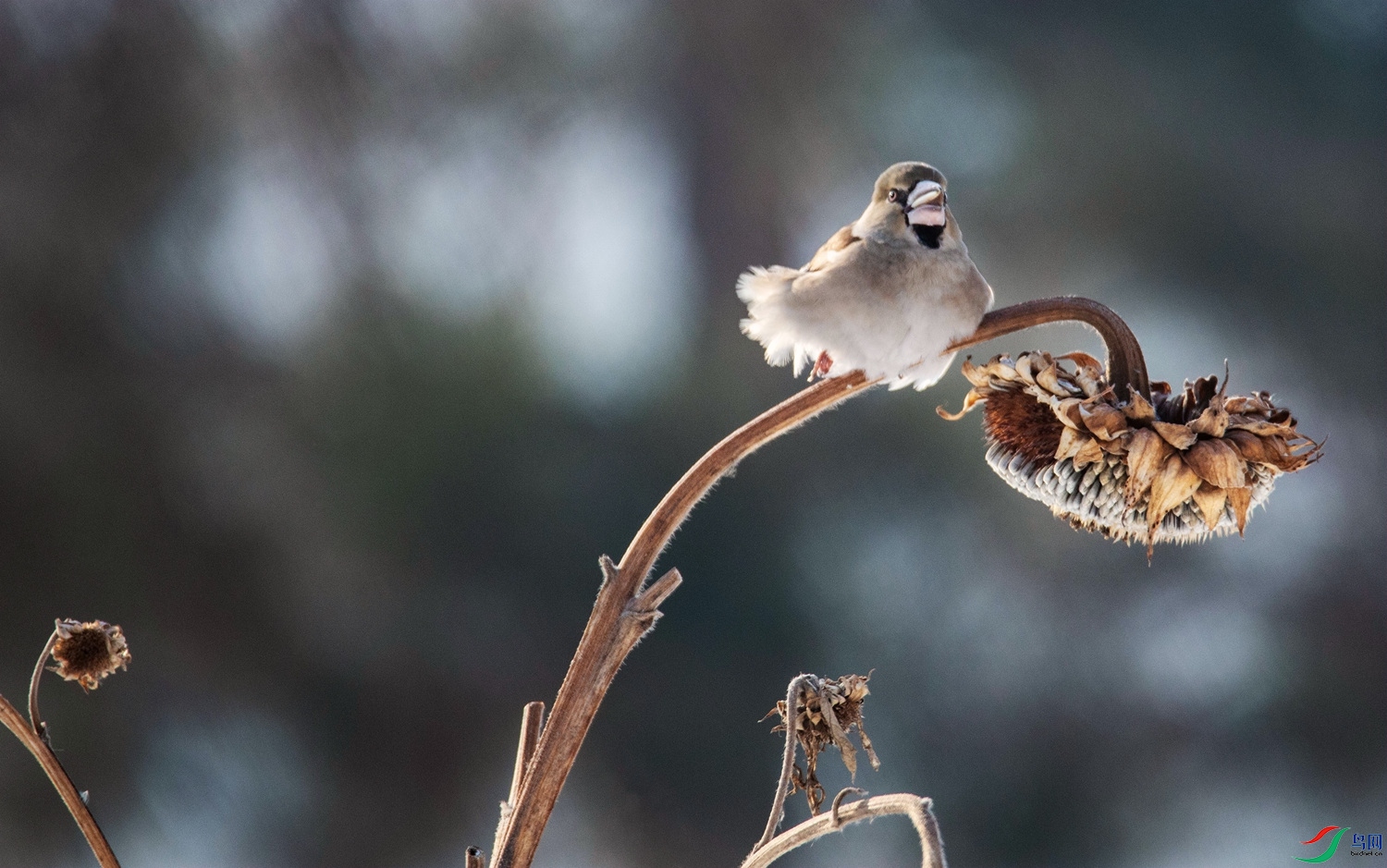 �˲��� (1).jpg