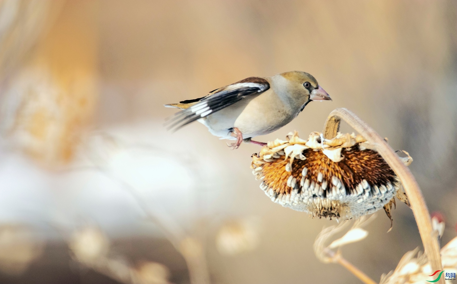 �˲��� (2).jpg