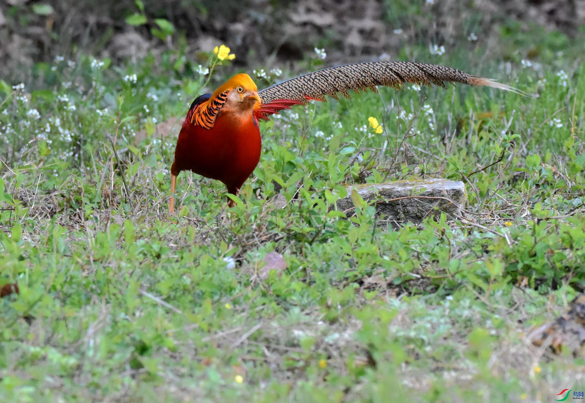 DSC_8650.JPG
