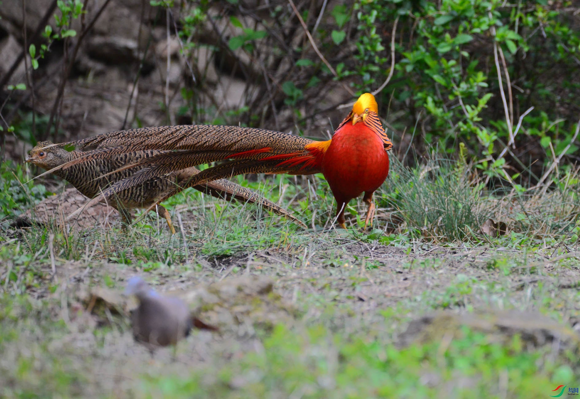 DSC_5049.JPG