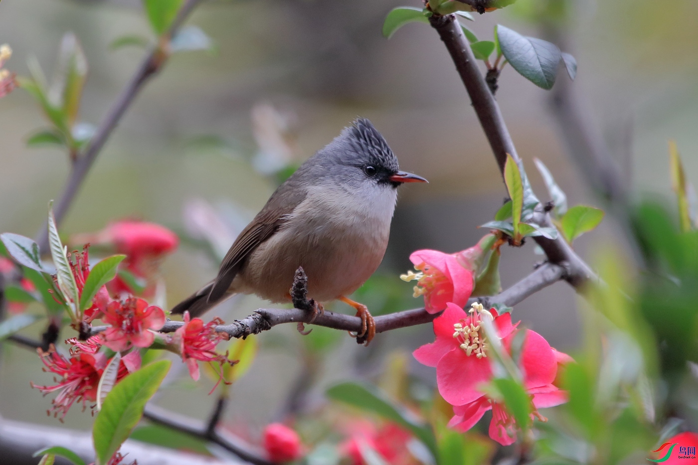 IMG_8616.JPG