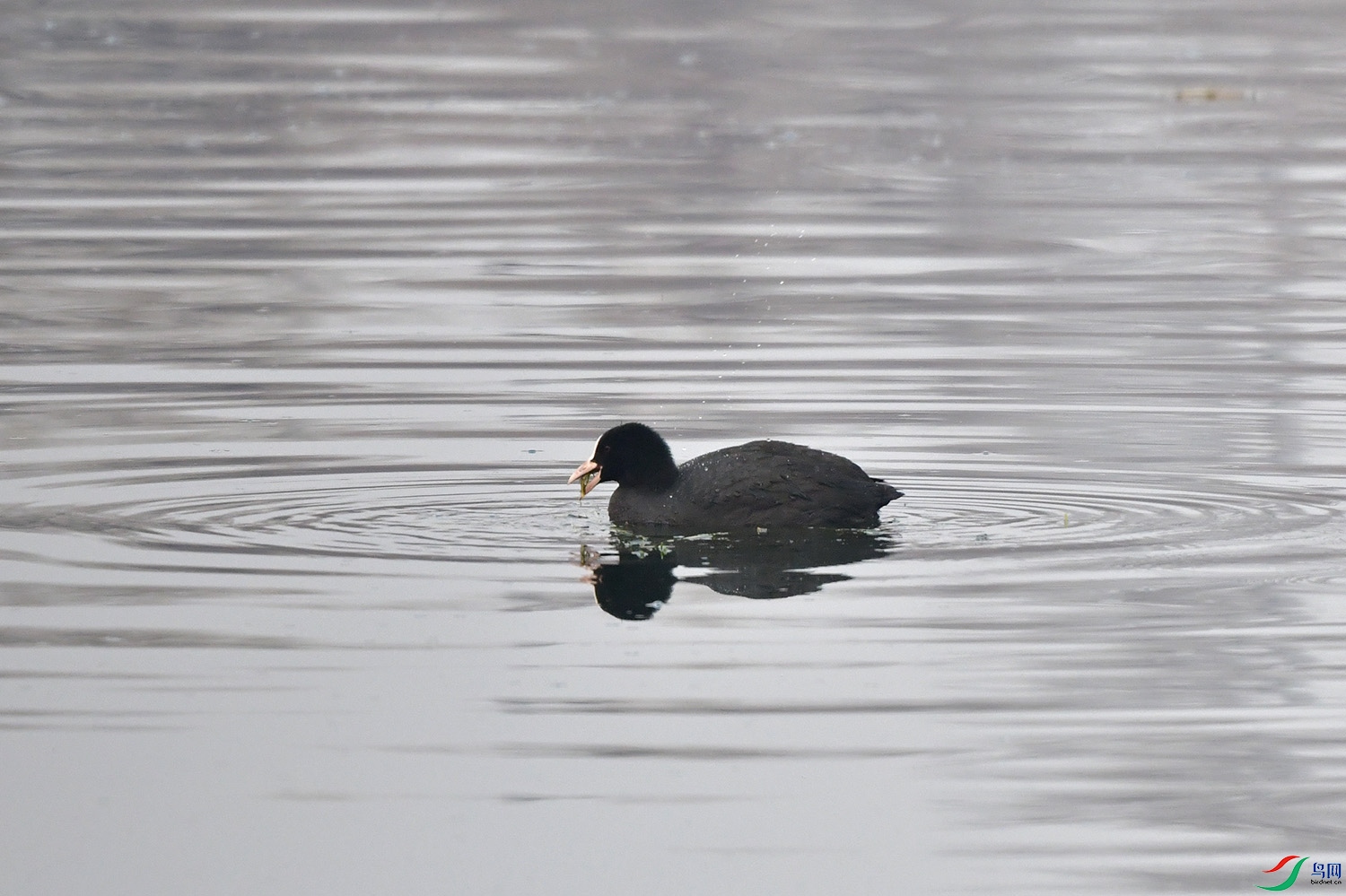 DSC_3025.jpg