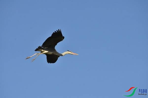 1 (279).JPG