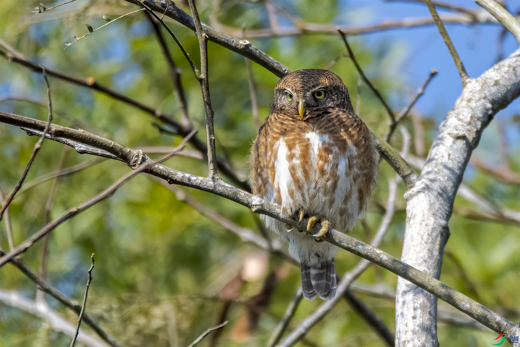 DSC_5210-1.jpg