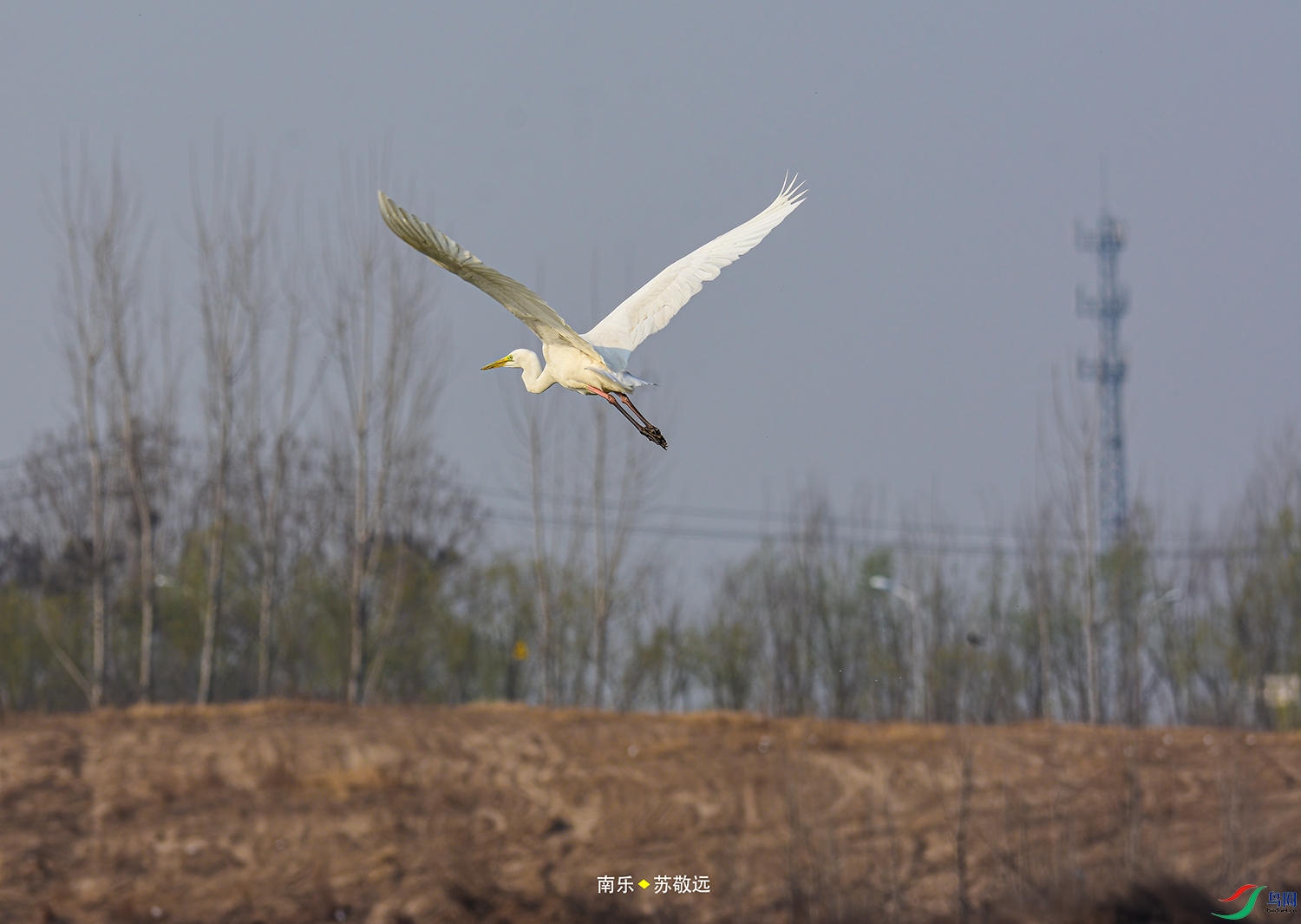 _DSC6948СС.jpg