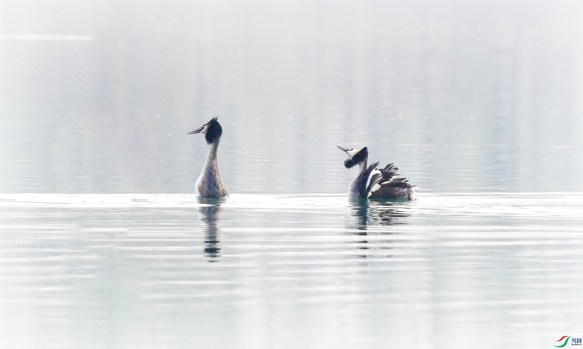 DSC05366��_����  ִ�������.jpg