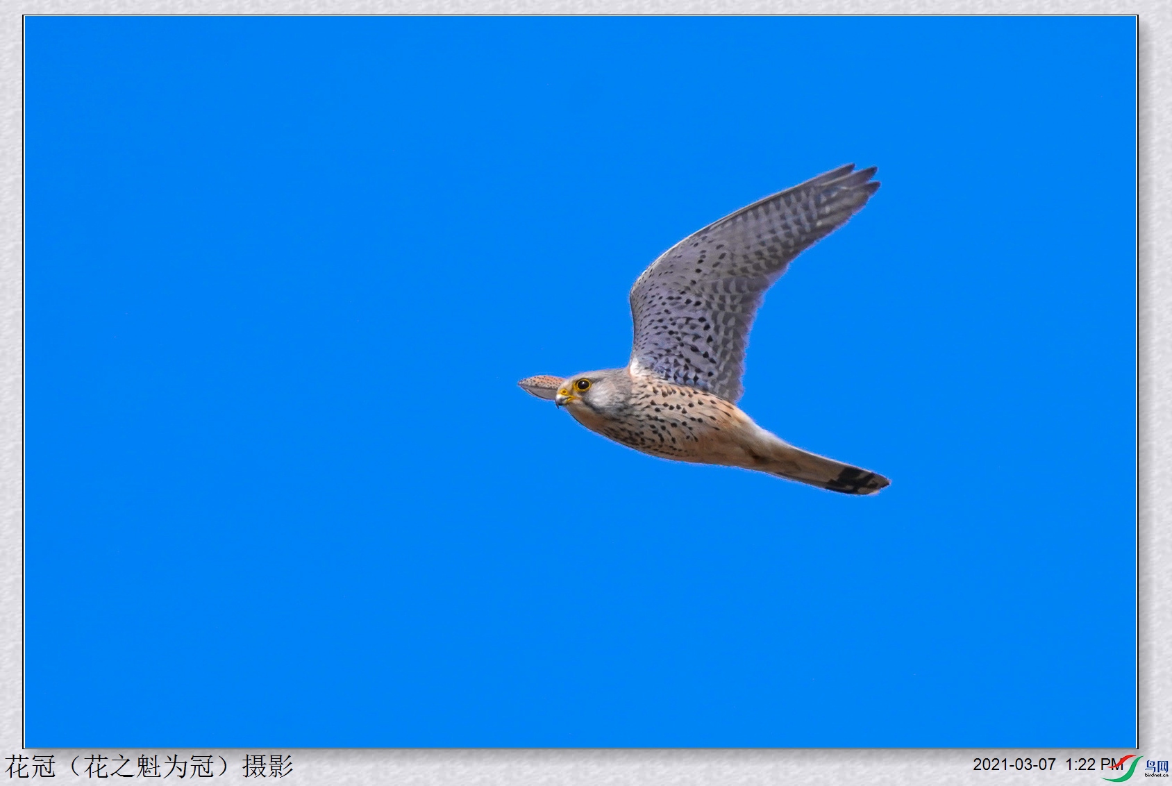 DSC08730B-2_����.jpg