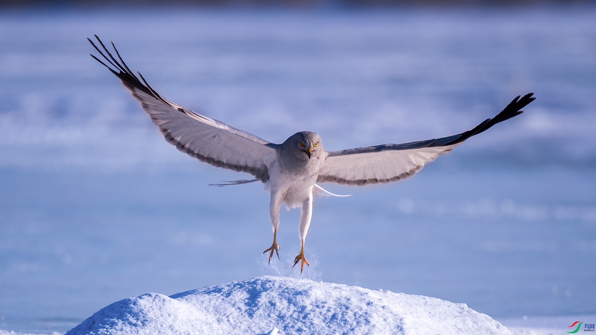 ��β�� ����.jpg����.jpg