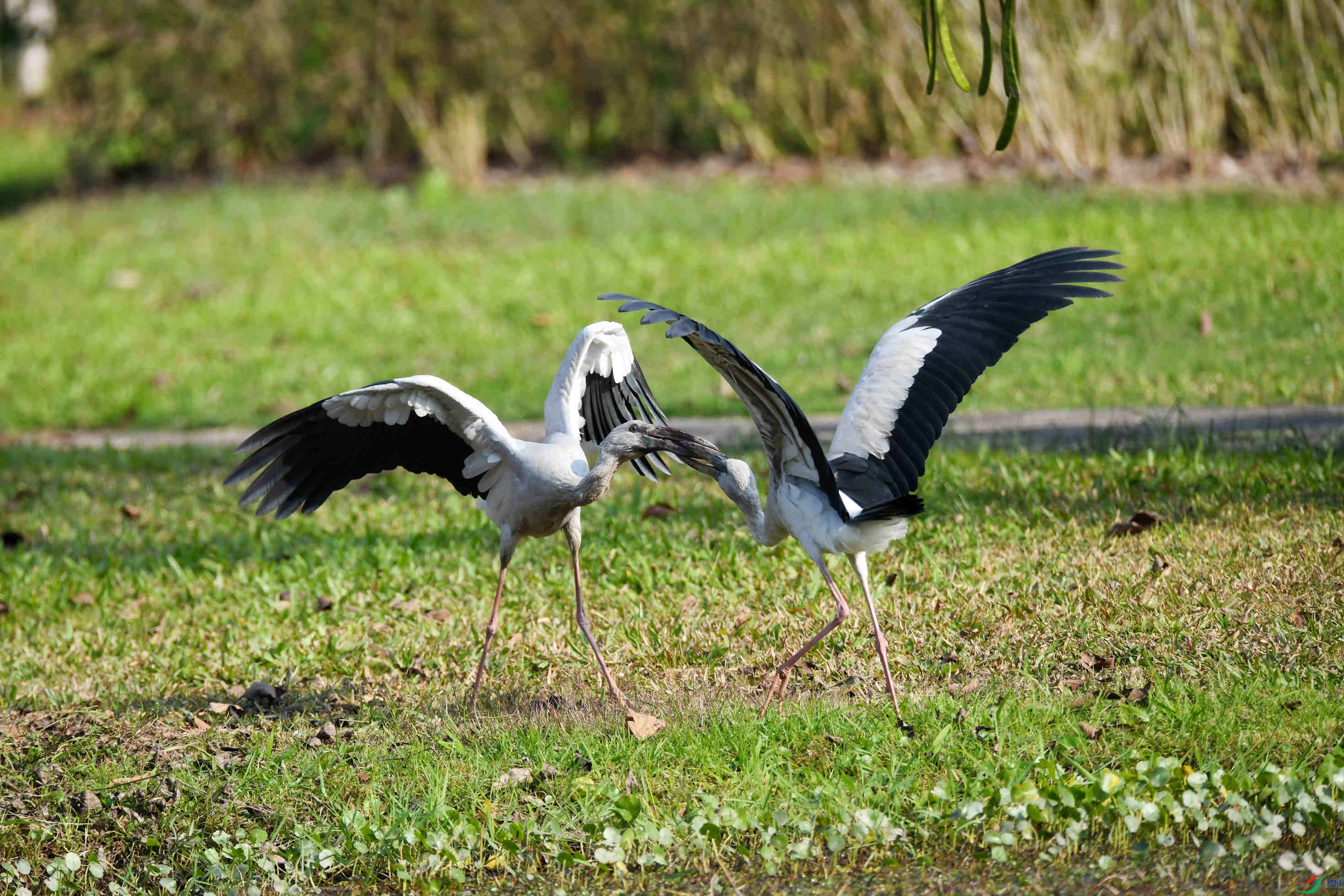 ǯ���� ����  ������ (3).JPG