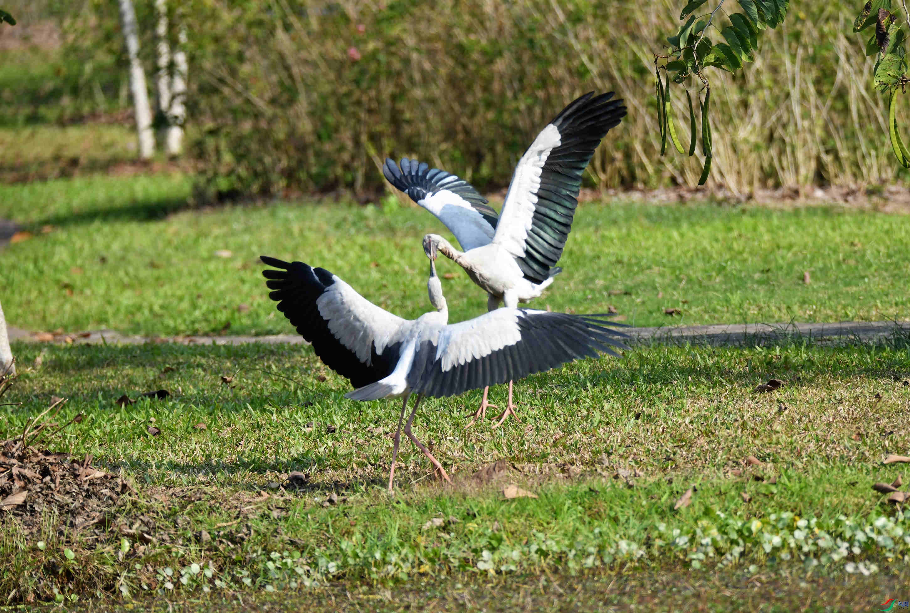 ǯ���� ����  ������ (2).JPG