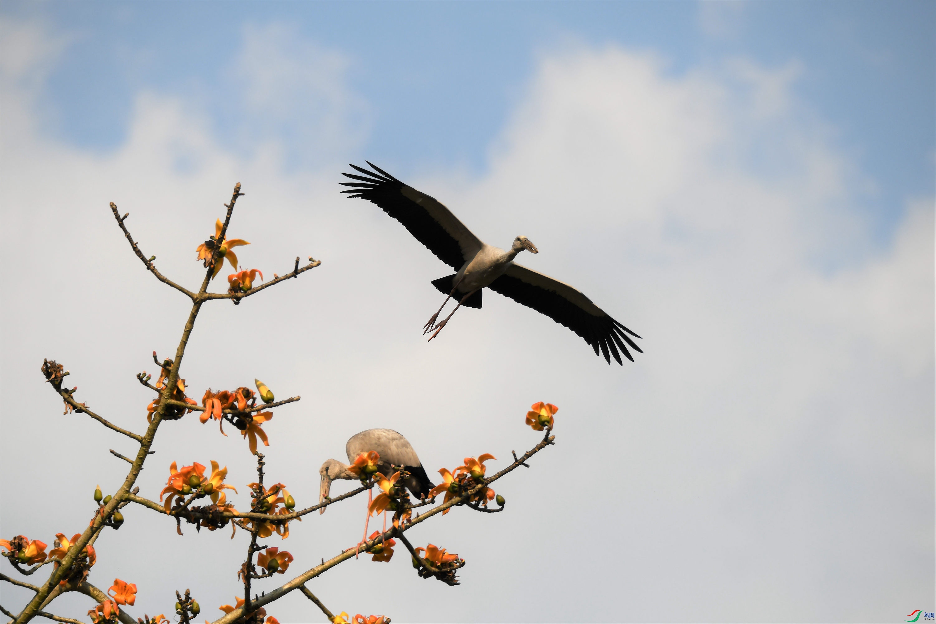 ǯ���� ���ϰ��������������� (1).JPG