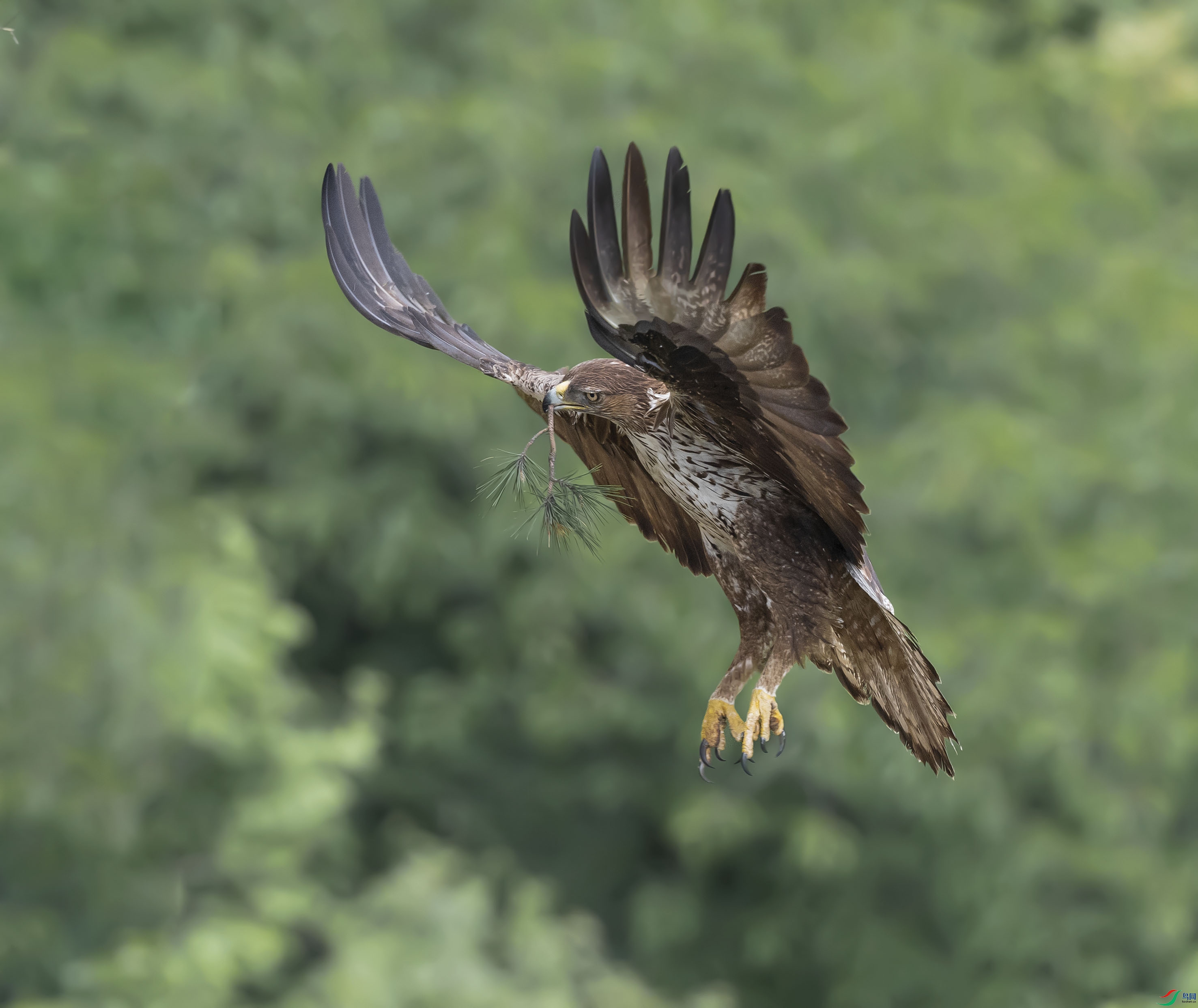 DSC_5333add2.jpg