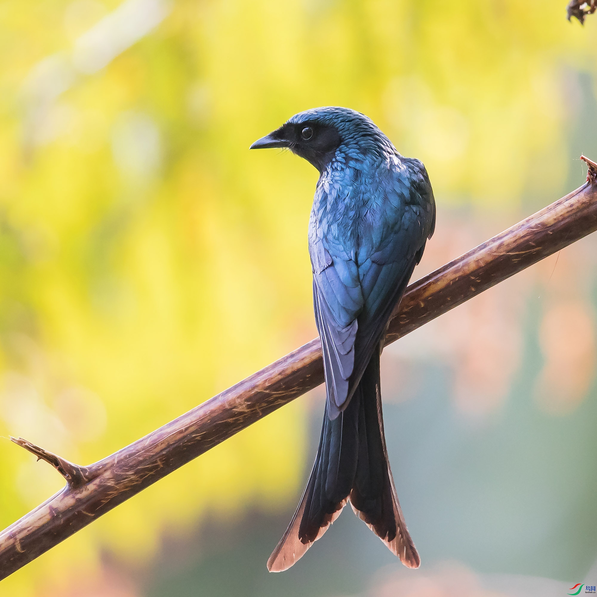 AR2I6063.psd-1.jpg