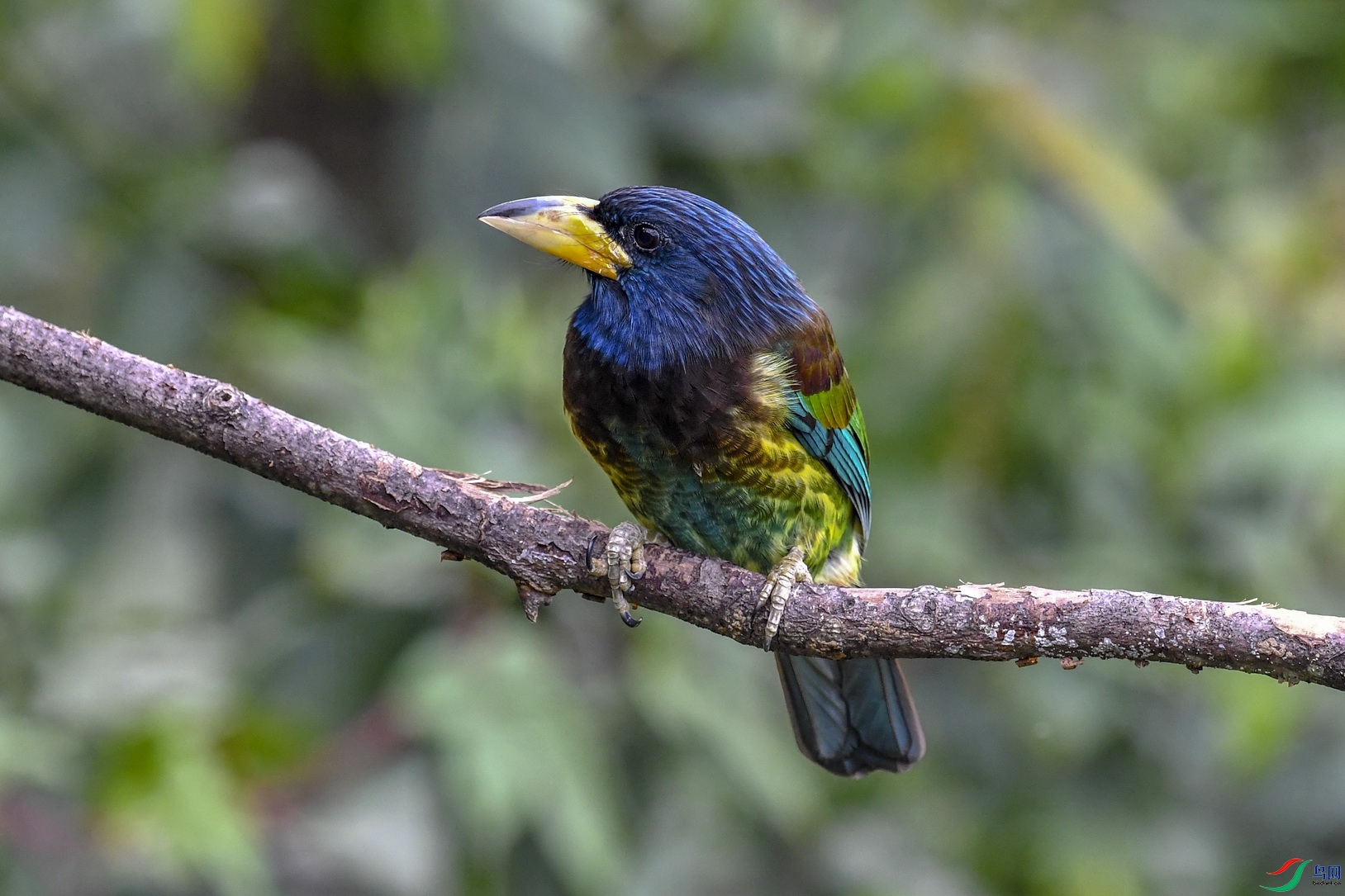 DSC_9330.jpg