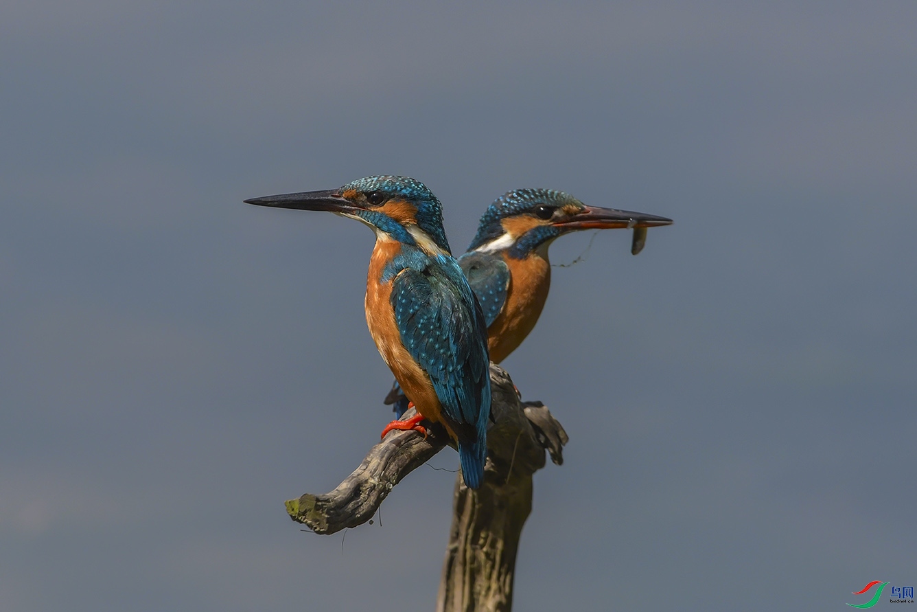 DSC_0028-2.jpg