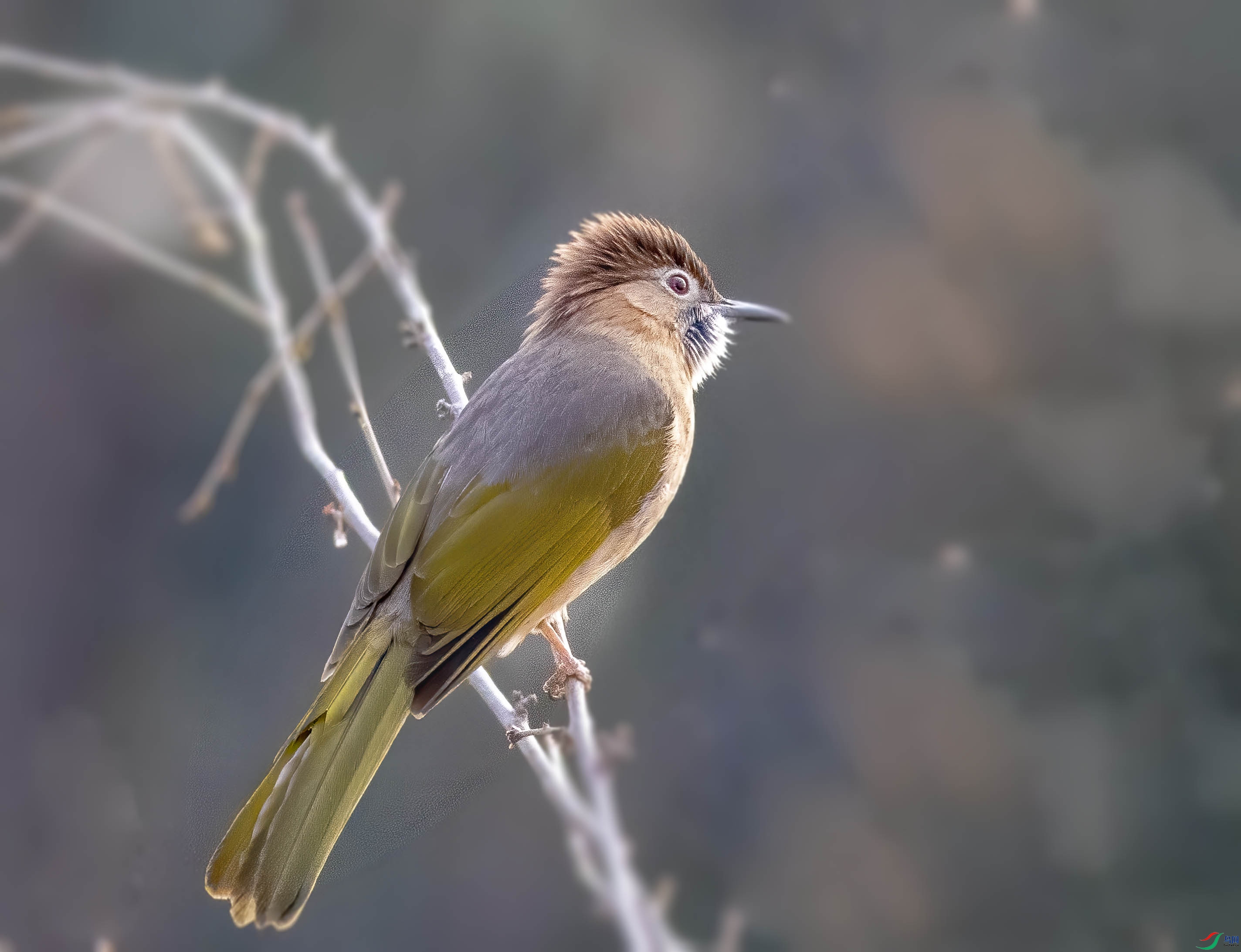 K7D08787.jpg
