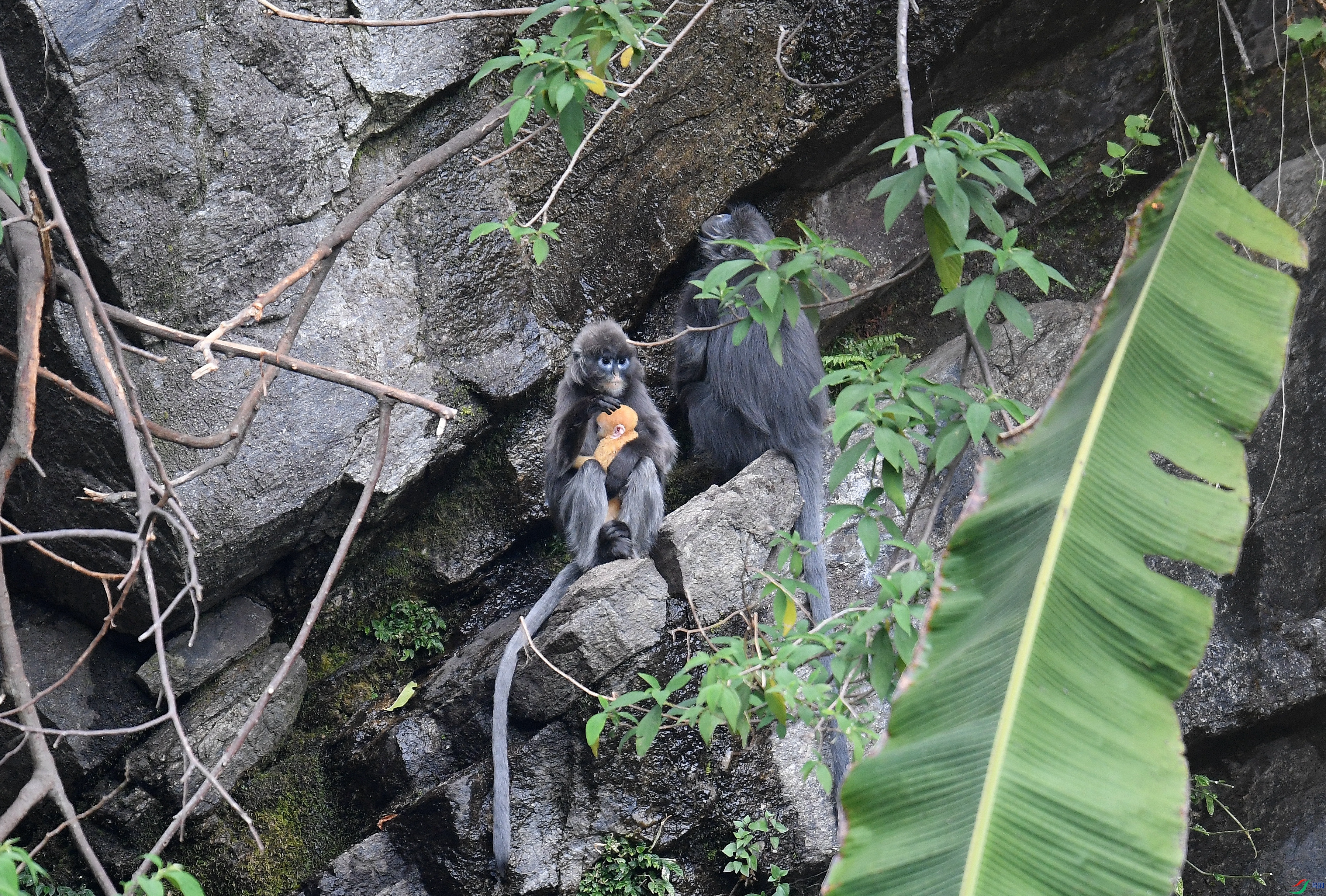 DSC_5619_����.jpg