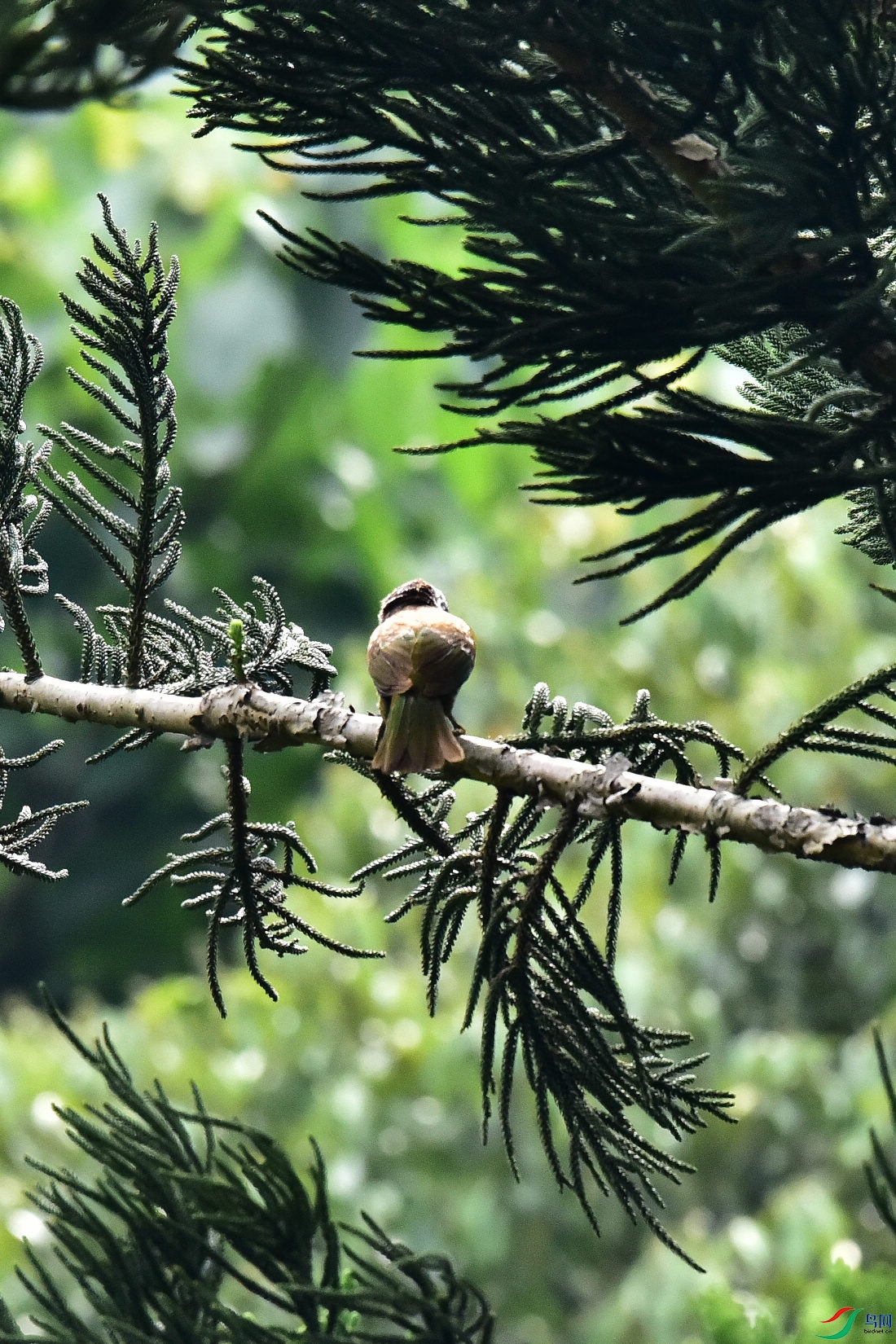 DSC_1070.JPG