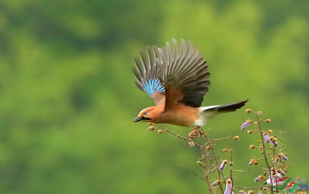 ������  ��ʦ����������ʡ����������.jpg