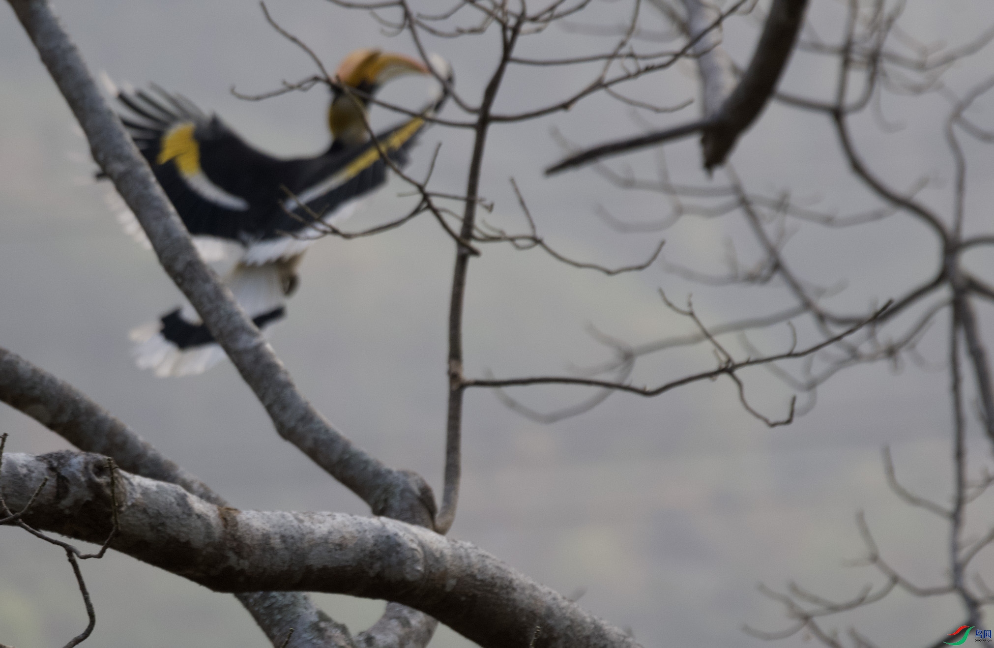 ����2021-03-11 21.33.44.jpg