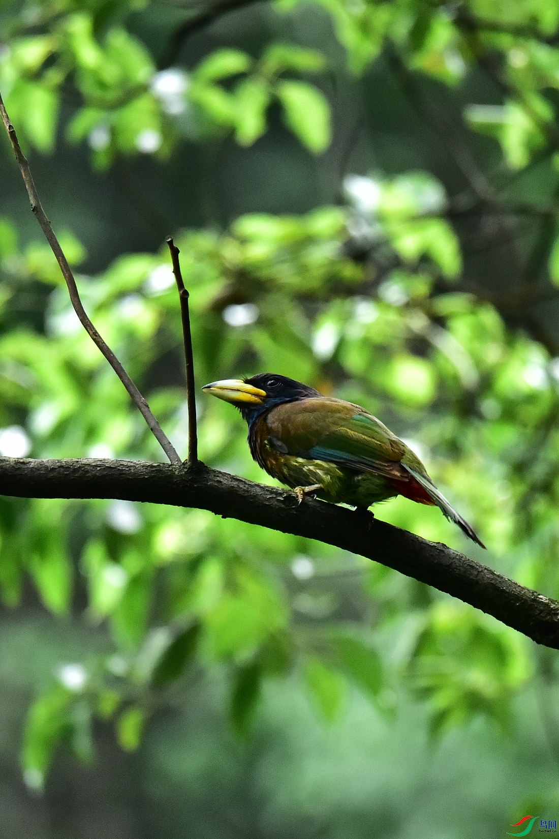 DSC_1073.JPG